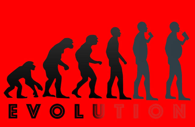 funny illustrations of evolution of man 640 06