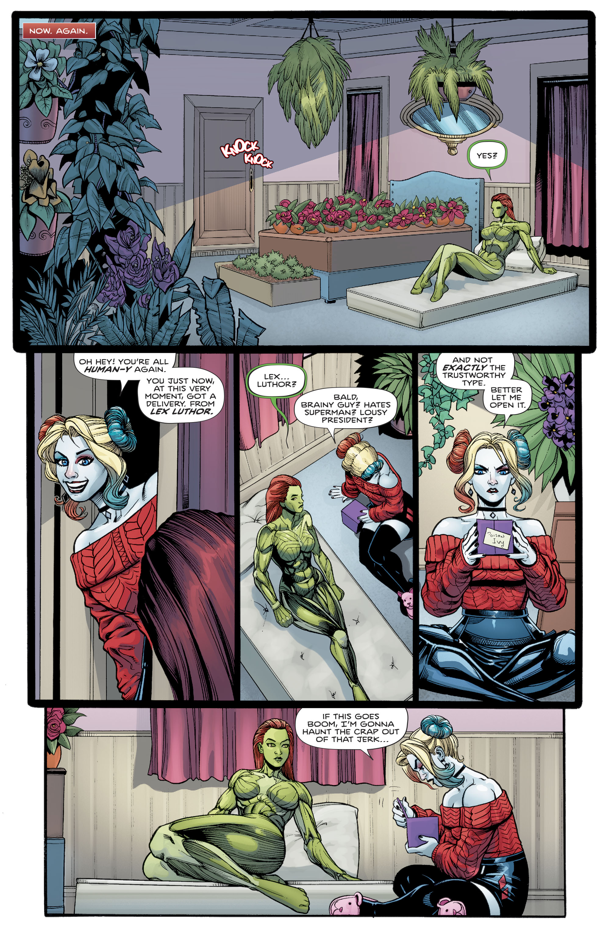 Harley Quinn Poison Ivy 001 009