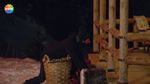 51802112_2481566.jpg
