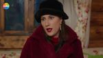 52988381_9771947.jpg