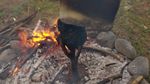54228099_2251905.jpg