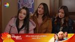 54744994_3812585.jpg