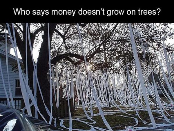 [Image: 51412769_money-does-grow-on-trees-620x465.jpg]